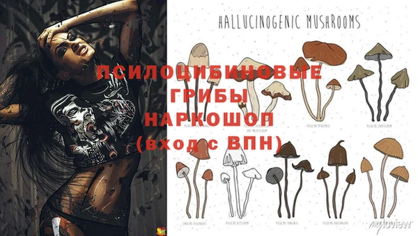 apvp Наволоки