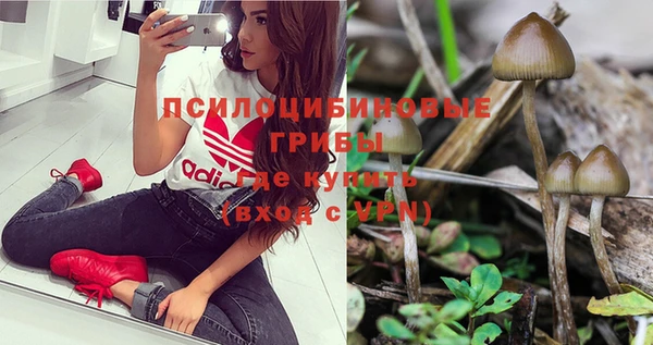 apvp Наволоки