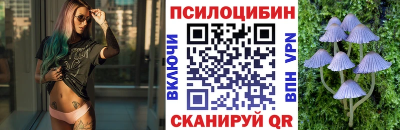 Псилоцибиновые грибы мицелий  Купить  Электросталь 